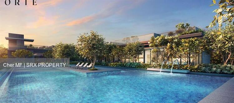 Lorong 8 Toa Payoh (D12), Condominium #560097911